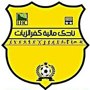 مالية كفر الزيات
