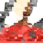 احمد الشحات